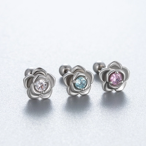Orecchini Cartilagine Rosa Acciaio Titanio Zircone Spina Helix Vite Perno Orecchino Acciaio Inossidabile