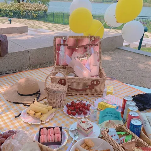 Handmade Wicker Picnic Basket Willow Hamper With Checkered Lining Plates And Cutlery For Outdoor Park Camping Family Trip