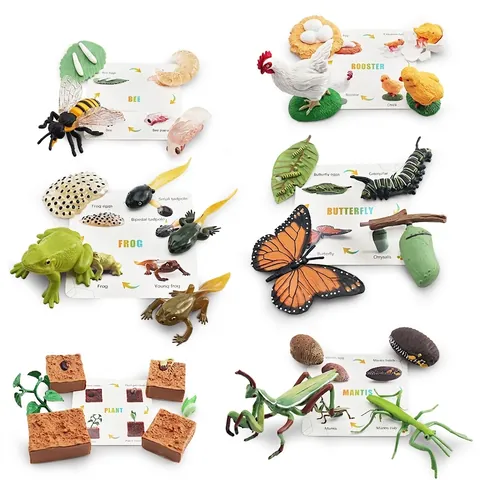 Life Cycle Simulation Models Plastic Animal Plant Growth Educational Learning Cards Montessori Toy Kids Toddler