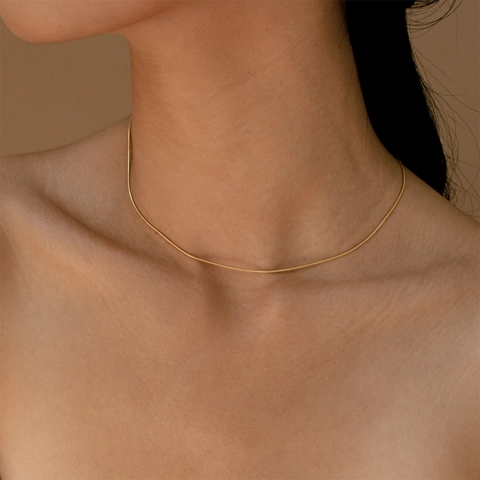 18K Vergoldet Edelstahl Schlangenknochen Kette Halskette Für Damen Minimalistisch Mode Einfach Täglich Schmuck Choker