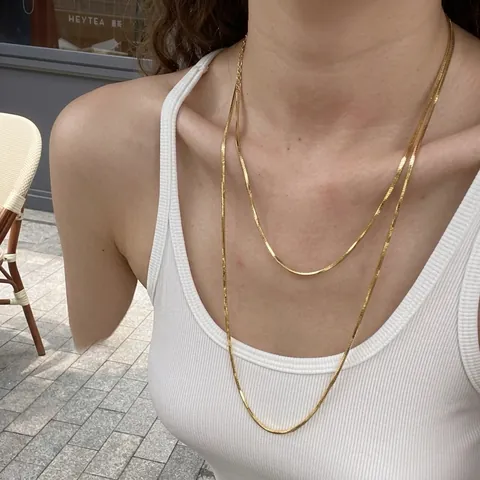 Double Layer Flat Snake Bone Chain Necklace Titanium Steel 18K Gold Plated Long Sweater Chain Minimalist Women Jewelry