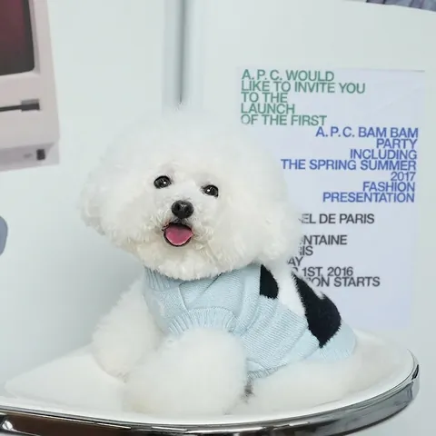 Hunde Pullover Gestrickt Panda Muster Pullover Warme Winterkleidung Für Kleine Mittlere Hunde Katzen Süße Strickware
