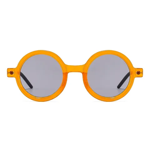 Retro Round Frame Sunglasses PC Frame AC Lens UV Protection Fashion Punk Hip Hop For Men Women