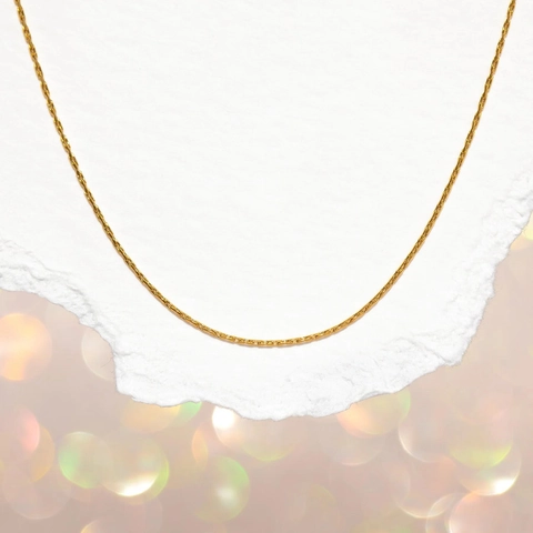 Minimalist Gold Plated Stainless Steel Chain Necklace Flat Blade Snake Lip Texture Jewelry For Women Fashion