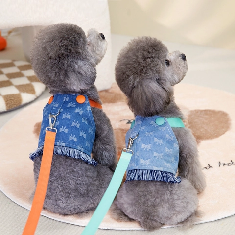 Adjustable Pet Harness And Leash Denim Fabric Bowknot Print Tassel Fringe Vest Style For Small Dogs Cats