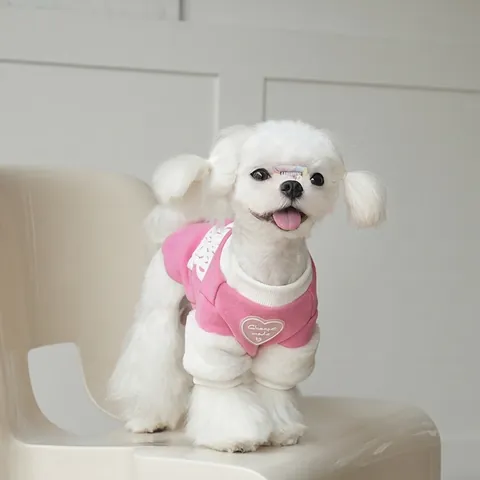 Pet Dog Hoodie Sweatshirt Plush Contrast Color Puff Sleeve Heart Embroidery Warm Winter Apparel For Dogs And Cats