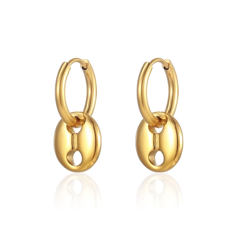 Orecchini a Cerchio Minimalisti in Acciaio al Titanio a Naso di Maiale per Donna Stile Ins Europeo Placcato Oro Argento Gioielli