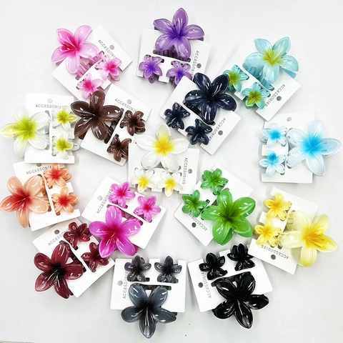 Flower Hair Claw Clips Large And Small Resin Gradient Color Hawaiian Beach Style Accessory For Women Fashion