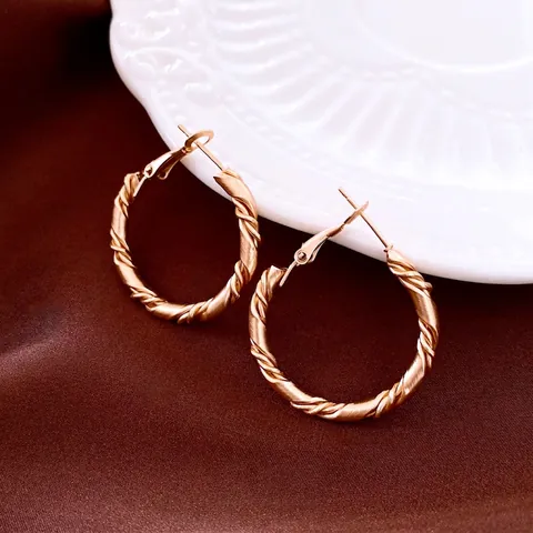 Orecchini A Cerchio A Corda Intrecciata Per Donna Moda Elegante Gioielli In Ferro Con Perno In Argento 925