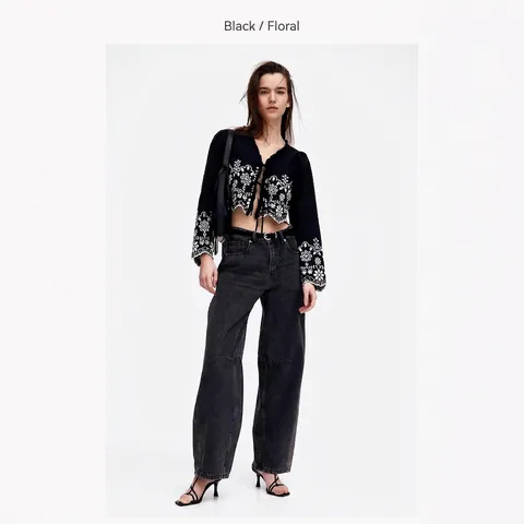 Dames Retro Oogje Borduurwerk V-Hals Ruches Veters Lange Mouw Crop Top Blouse Cottagecore Zoet Shirt