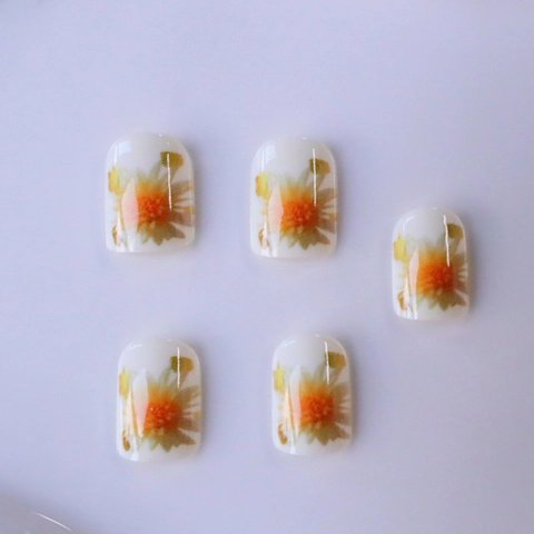Short Square Press On Nails White Daisy Flower Pattern Gold Foil Accents Artificial False Nail Tips For Women Manicure