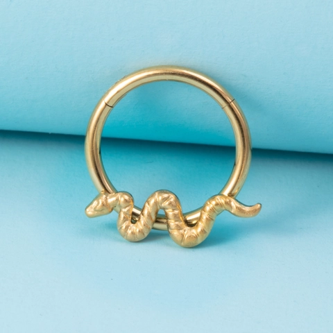 Anello A Segmento Incernierato A Forma Di Serpente In Acciaio Inossidabile Piercing Al Setto E Al Naso Orecchino Cartilagine