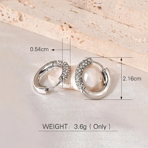 Titanium Steel Hoop Earrings With Micro Pave Cubic Zirconia Round Polished Punk Style Jewelry For Women