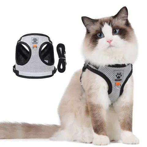Kattenharnas En Lijn Ademend Mesh Reflecterend Vest Voor Kleine Honden Verstelbare Zachte Wandelijn Huisdier Comfort