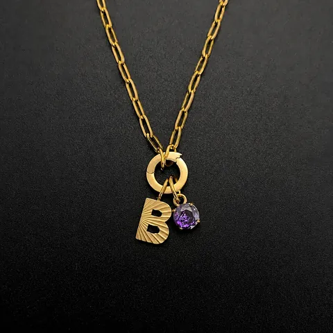 Roestvrij Stalen Alfabet Hanger Ketting Voor Vrouwen Paarse Strass Gegraveerde Letter Paperclip Ketting Goud Zilver Sieraden Cadeau