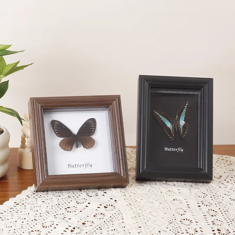 Butterfly Specimen Photo Frame Wood MDF Glass Hollow Shadow Box Desktop Wall Hanging Decor Retro European Style Home Office