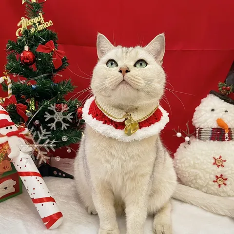 Collare Natalizio Per Animali Sciarpa Uncinetto Babbo Natale Renna Fiocco Campanello Accessorio Gatti Cani Piccoli