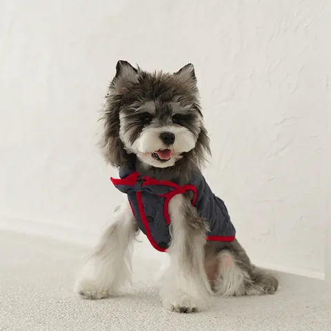 Gilet Trapuntato In Denim Per Cani Colletto Bambola Giacca Invernale Calda Stile Britannico Papillon Vestiti Cucciolo Blu