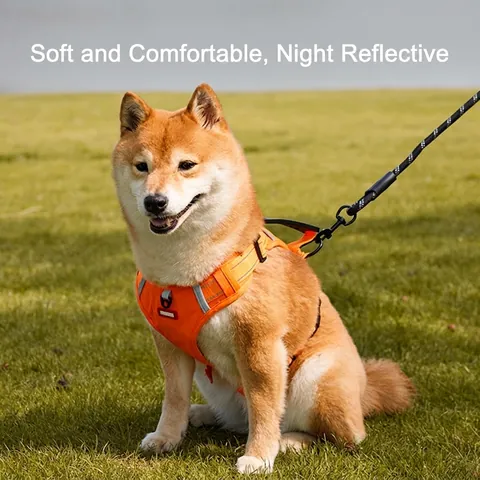 Dog Harness And Leash Reflective Adjustable No Pull Breathable Mesh Padded Handle Vest For Small Medium Large Dogs