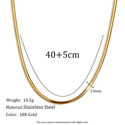 Collier Bracelet Chaîne Serpent en Acier Inoxydable Minimaliste pour Femmes Plaqué Or 18K Chaîne Plate à Six Côtés Bijoux