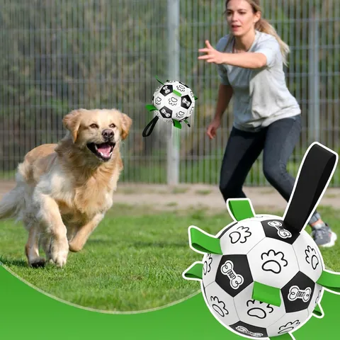 Jouet Ballon De Football Interactif Pour Chien Avec Sangles En Nylon Durables Pour Extérieur Rapporter Flottant