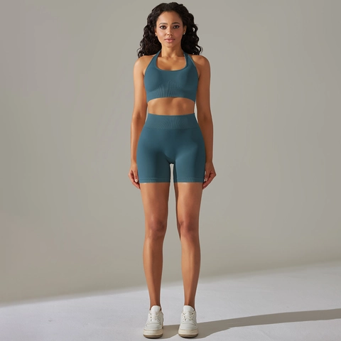 Women Seamless Ribbed Yoga Halter Neck Sports Bra And High Waist Shorts Top And Bottom Fitness Gym Workout Athletic Wear
