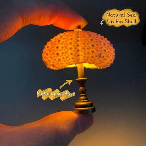 Mini Seeigel Nachtlicht Naturmuschel Lampe Vintage Metallfuß Kreatives Dekoratives Ornament Warmes Licht Miniatur Deko