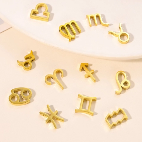 Collana con Pendente a Forma di Dodici Segni Zodiacali in Acciaio Inossidabile Minimalista Oro Argento Simbolo Oroscopo Ciondoli Fai-da-te Gioielli Donna