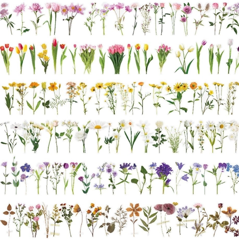 Adesivi In PET Trasparente Fiori Farfalla Impermeabile DIY Scrapbooking Diario Materiale Decorativo Natura Decalcomanie