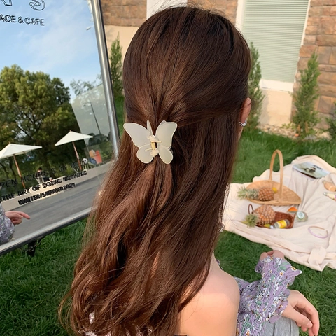 Pince À Cheveux Papillon Acrylique Mat Résine Élégant Translucide Style Fée Accessoire Cheveux Pour Femmes Filles