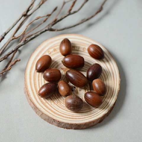Glands Séchés Naturels Avec Chapeaux Fruits Sauvages Pour Décoration Maison Automne Bricolage Ornements Rustiques Style Forêt