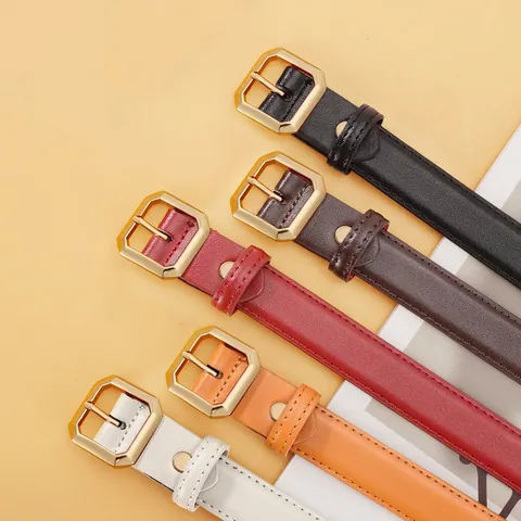 Dames Mode Dunne PU Leren Riem High-End Geometrische Legering Gespsluiting Decoratieve Tailleriem Voor Jurken Jeans All-Match Casual Stijl