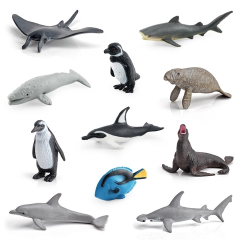 Modelli Realistici Di Animali Marini PVC Simulazione Creature Marine Giocattoli Per Bambini Apprendimento Sviluppo Cognitivo