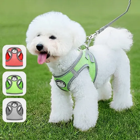 Breathable Mesh Pet Harness And Leash Vest Style Reflective Safety Adjustable For Small Medium Dogs Cats