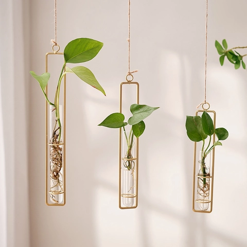 Wall Mounted Hydroponic Vase Iron Frame Glass Test Tube Planter Hanging Flower Pot Nordic Home Living Room Decor
