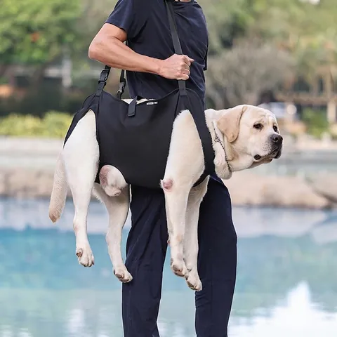 Dog Mobility Support Harness For Senior Injured Dogs Professional Pet Recovery Sling For Walking Climbing Assistance Black
