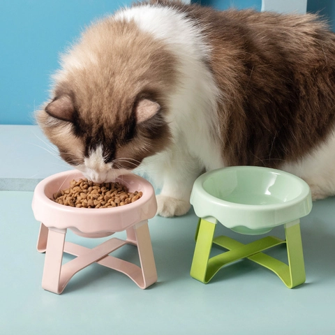 Elevated Ceramic Cat Bowl With Iron Stand Tilted Neck Protection Macaron Color Scalloped Edge Pet Water Food Feeder