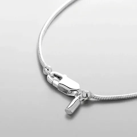 Collier Chaîne d'Os de Serpent en Acier Inoxydable Minimaliste pour Hommes Hip Hop Étanche Chaîne à Maillons Plats Plaqué Or Or Blanc Bijoux