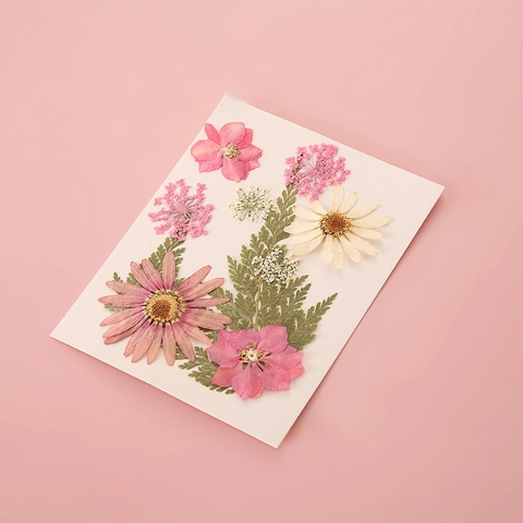 Pressed Dried Flowers Material Natural Dehydrated Plants For DIY Bookmarks Resin Crafts Handmade Supplies