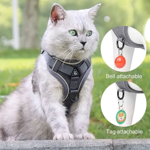 Pettorina E Guinzaglio Per Gatti Riflettente Gilet In Rete Traspirante Regolabile Anti-Fuga Sicurezza Per Cani Piccoli