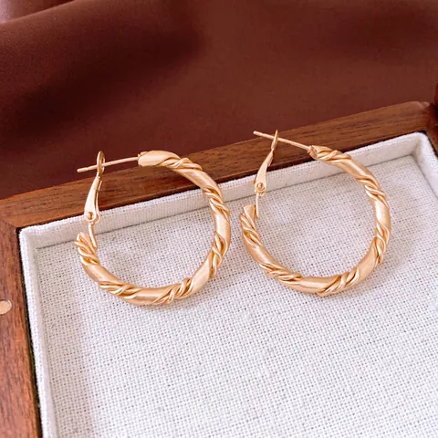 Orecchini A Cerchio A Corda Intrecciata Per Donna Moda Elegante Gioielli In Ferro Con Perno In Argento 925