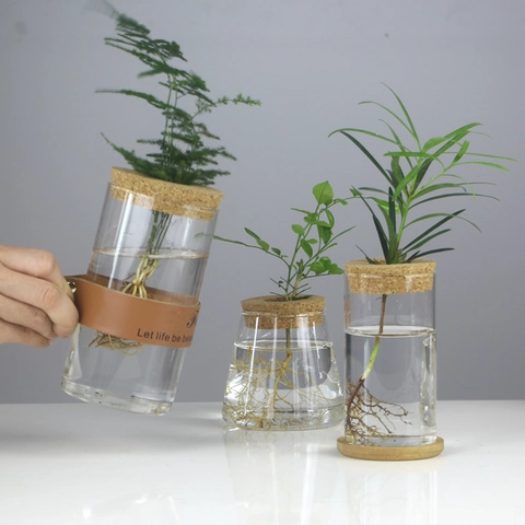Hydroponik Glasvase Transparent Mikro Landschaft Aquarium Mit Korkdeckel Und Bambusbasis Modernes Wohndekor