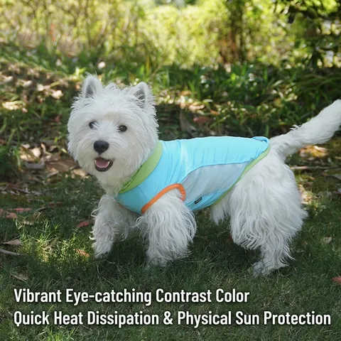 Pet Cooling Hooded Vest Breathable Mesh Polyester Contrast Color Summer Dog Clothes For Small Medium Dogs Cats