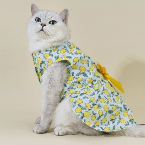 Haustier Kleid Zitronendruck Baumwolle Atmungsaktive Kleidung Mit Großer Schleife Für Kleine Mittlere Hunde Katzen Sommer