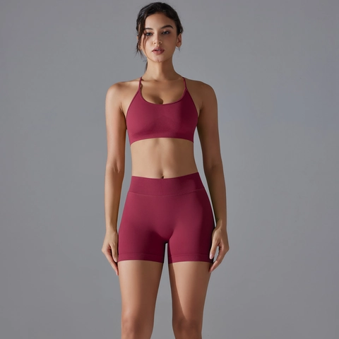 Seamless Yoga Outfits Women Sports Bra And High Waist Shorts Scrunch Butt Criss Cross Back Gym Fitness Nylon Spandex Activewear