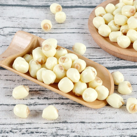 Realistic Artificial Lotus Seed Simulation Food Model PVC Plastic Material Photography Props Kitchen Home Decor Ornament