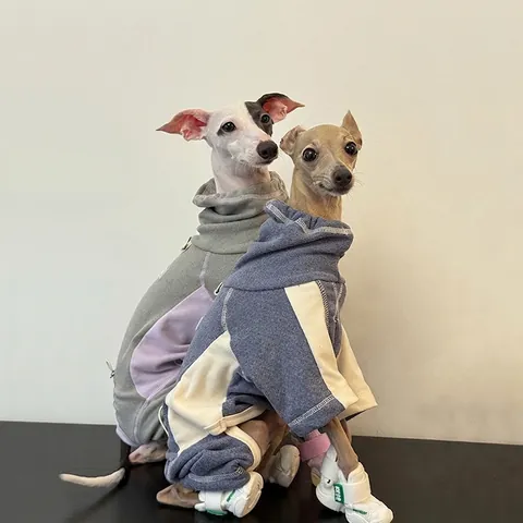 Tuta Per Cani Calda Ispessita Abbigliamento Completo Per Animali Domestici Collo Alto Coulisse Anello D Stile Sportivo Autunno Inverno