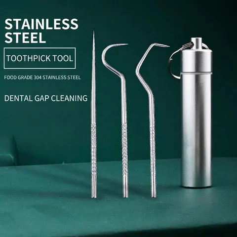Portable 304 Stainless Steel Toothpick Dental Floss Oral Cleaning Tools With Metal Storage Tube Keychain Travel Oral Hygiene