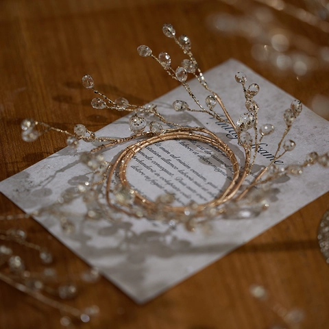 Acrylic Bead Christmas Tree Decoration Champagne Gold Iron Wire Branch Garland Rattan For Window Display Photography Props