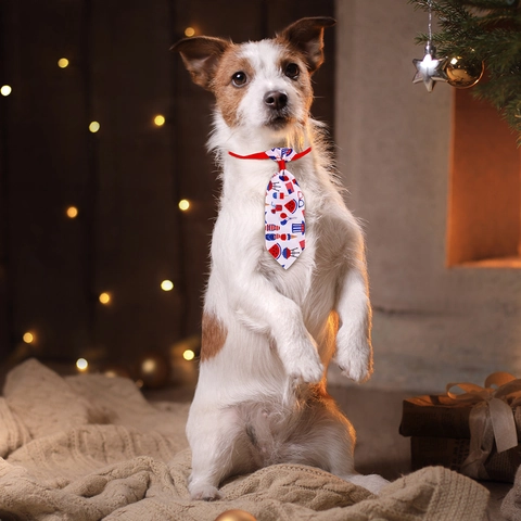 Patriotic Pet Tie Independence Day American Flag Stars And Stripes Pattern Adjustable Dog Necktie For Cats Dogs